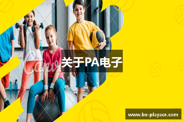 关于PA电子